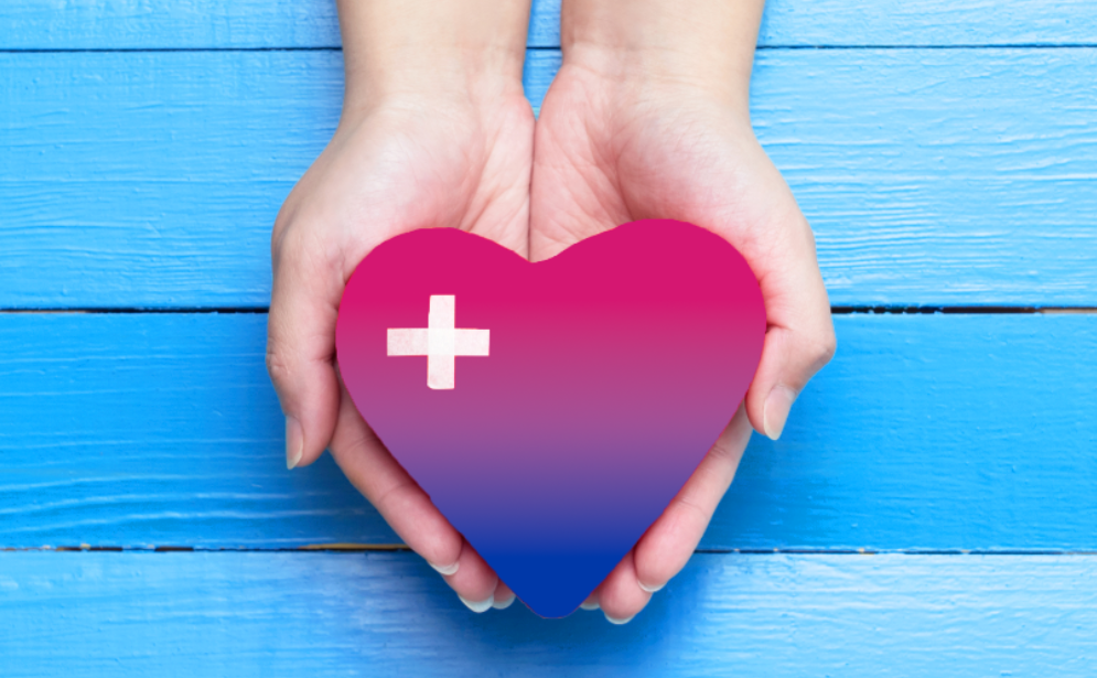 A set of hands holds a heart with a bisexual gradient on it.